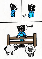 Sheep